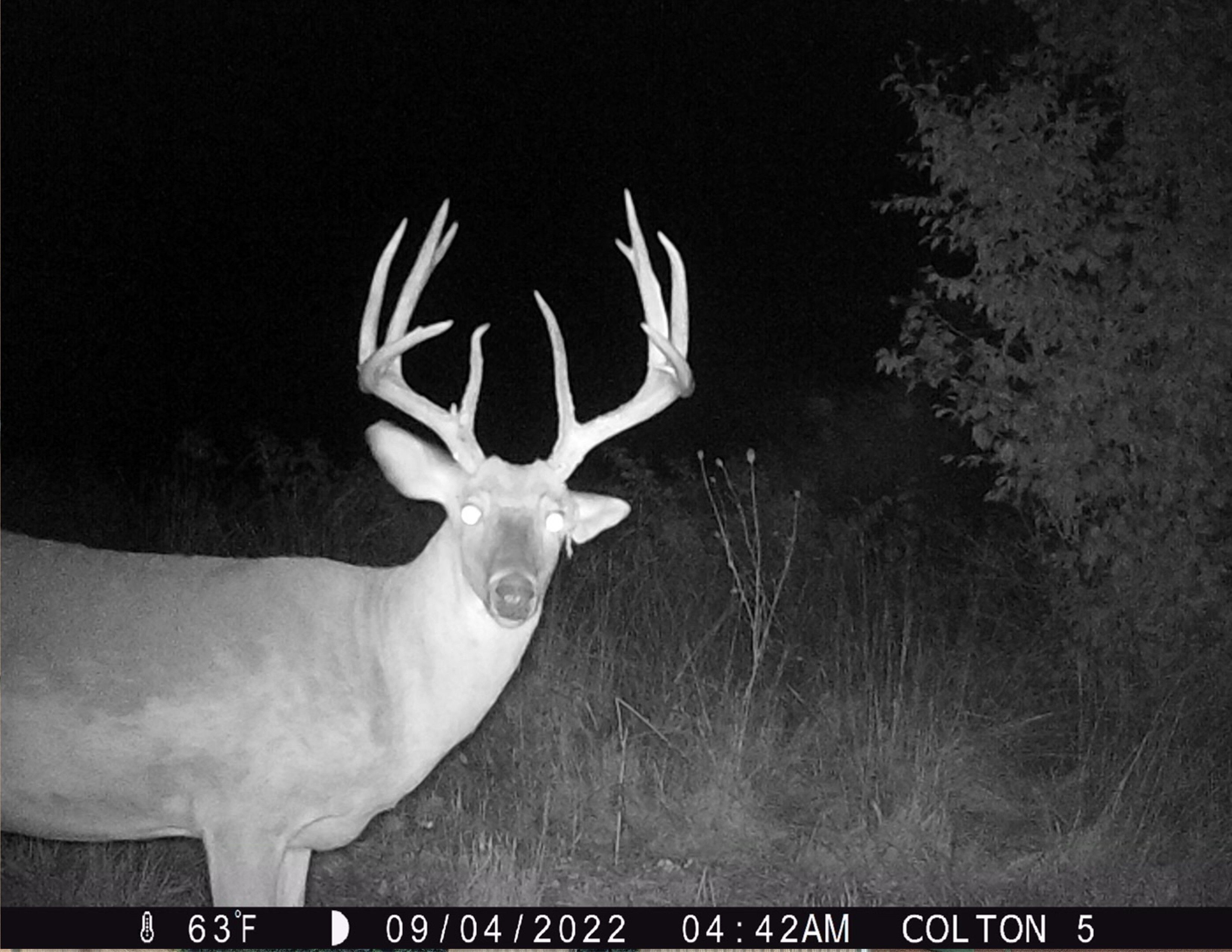 Listing Photo: 18661-IMG_0015 (1) (3)